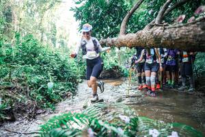 BIB: 
                            <button type="button" onclick="openModal(25468026)" class="btn btn-primary btn-sm float-right btn-popup" data-toggle="modal" data-target=".modal-high-quality">
                        <i class="fas fa-shopping-cart"></i> Add to Cart
                    </button>
                                            <button type="button" onclick="isThisMe(25468026, true)" class="btn btn-success btn-sm float-right btn-popup btn-isme hidden" data-toggle="tooltip" data-placement="bottom" title="นี่คือรูปของคุณใช่ไหม คลิกที่นี่เพื่อเอาเข้าอัลบั้ม">
                        <i class="fas fa-plus"></i> Add to album
                    </button>
                    <button type="button" onclick="isThisMe(25468026, false)" class="btn btn-warning btn-sm float-right btn-popup btn-isnotme hidden">
                        <i class="fas fa-ban"></i> Remove from album
                    </button>